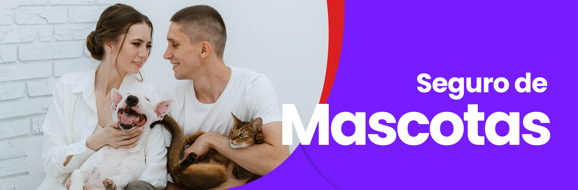 Seguro para mascotas